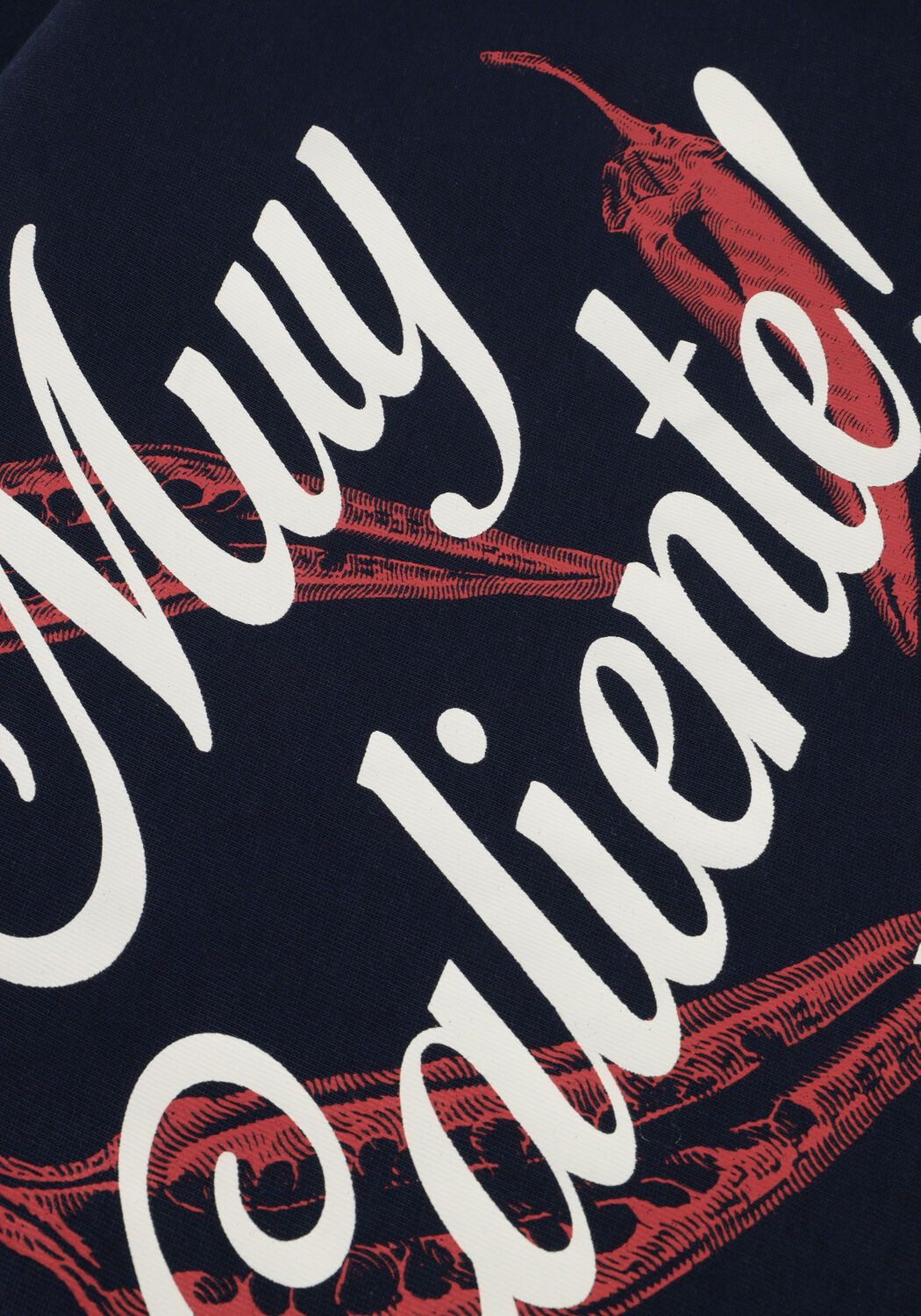 Donkerblauwe PURE PATH T-shirt REGULAR FIT CREWNECK SS T-SHIRTS - large