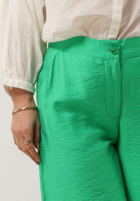 Groene POM AMSTERDAM Wijde broek LUSH GREEN PANTS - large