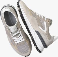 Grijze FLORIS VAN BOMMEL Lage sneakers SFM-10159 - medium