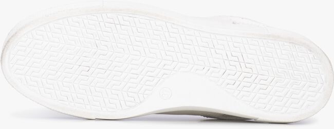 Witte PS POELMAN Lage sneakers TITULAR - large