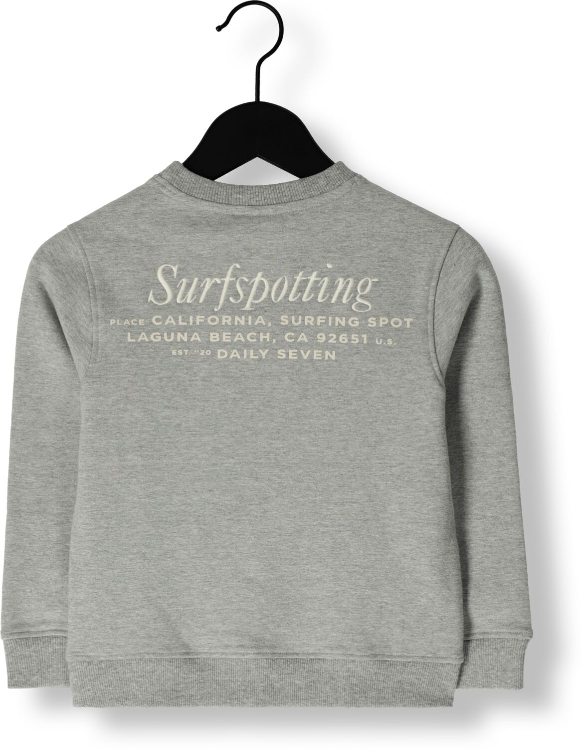 DAILY7 Jongens Truien & Vesten Sweater Textprint Grijs