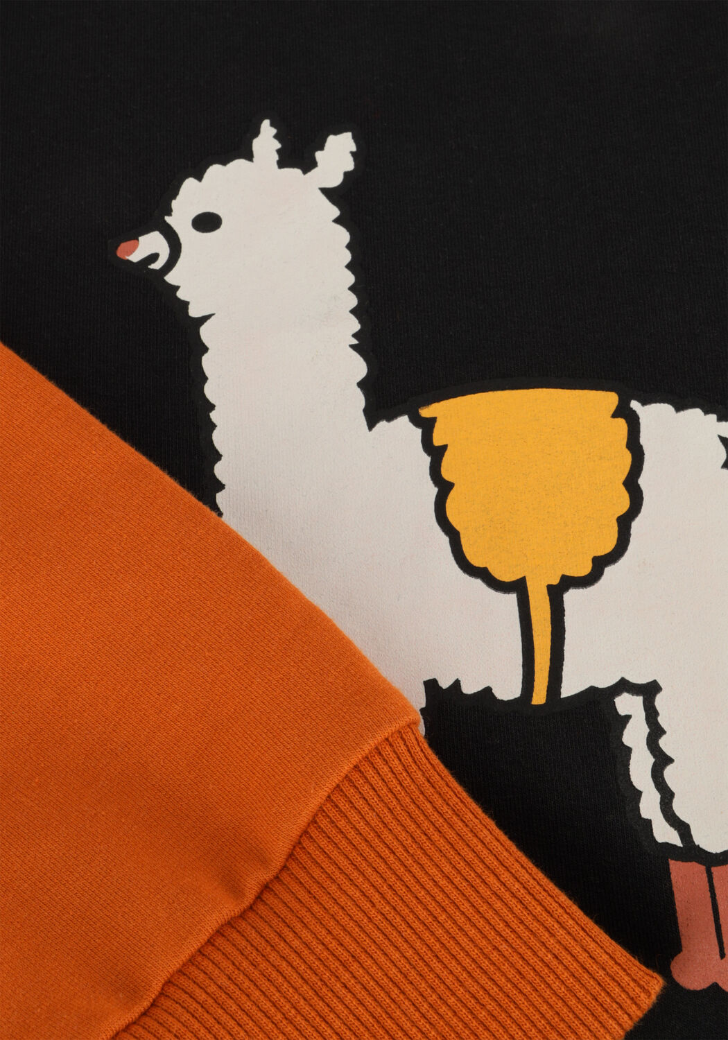 Zwarte CARLIJNQ Sweater BASIC-SWEATER WITH PRINT - large