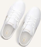 Witte POLO RALPH LAUREN Lage sneakers FRAZIER Witte POLO RALPH LAUREN Lage sneakers FRAZIER - medium