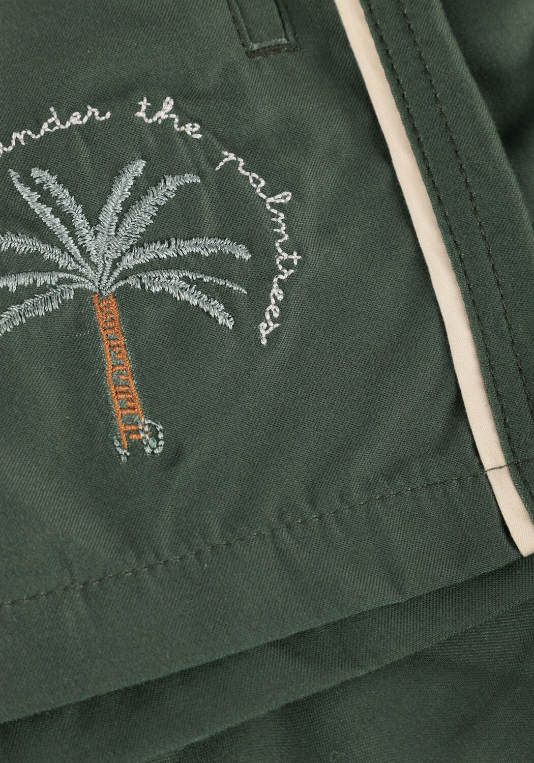 Groene SALTED STORIES Zwembroeken SOLID SWIM SHORTS - large