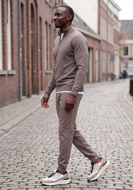 Taupe GENTI Truien/vesten TURTLE ZIP LS - large