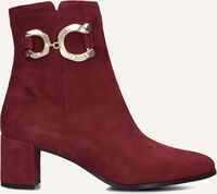 NOTRE-V 8558 - medium