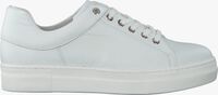 Witte ROBERTO D'ANGELO Sneakers VANATU  - medium