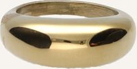 Goudkleurig NOTRE-V Ringen RING ZEGEL ONE SIZE Goudkleurig NOTRE-V Ringen RING ZEGEL ONE SIZE - medium