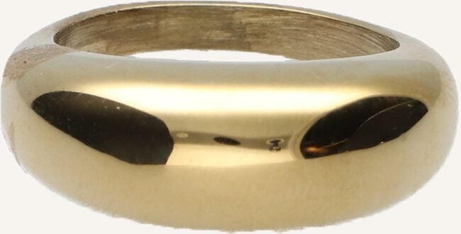 Goudkleurig NOTRE-V Ringen RING ZEGEL ONE SIZE Goudkleurig NOTRE-V Ringen RING ZEGEL ONE SIZE - large