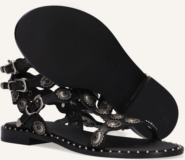 Zwarte ASH Platte sandalen PHOENIX Zwarte ASH Platte sandalen PHOENIX - large