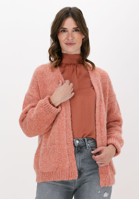 Roze KNIT-TED Vest BERNELLE CARDIGAN - large