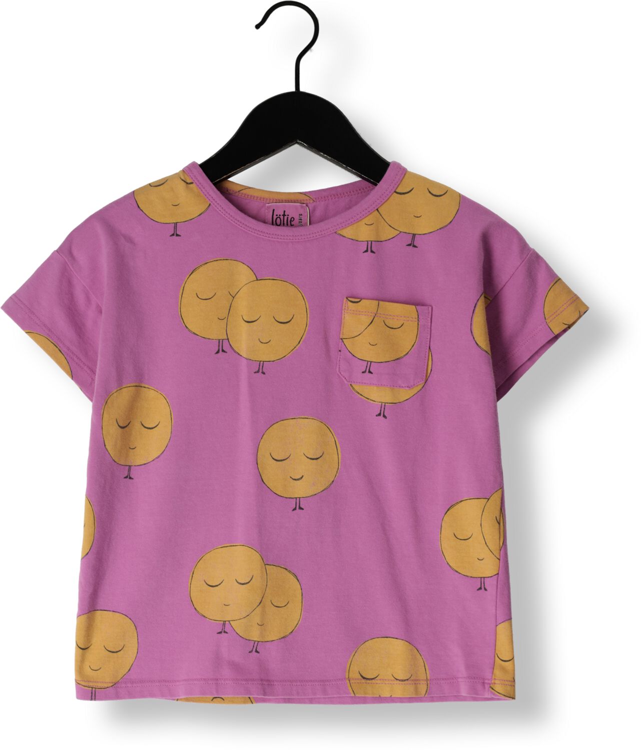 LÖTIEKIDS Lötiekids Meisjes Tops & T-shirts S24-09-22 Roze