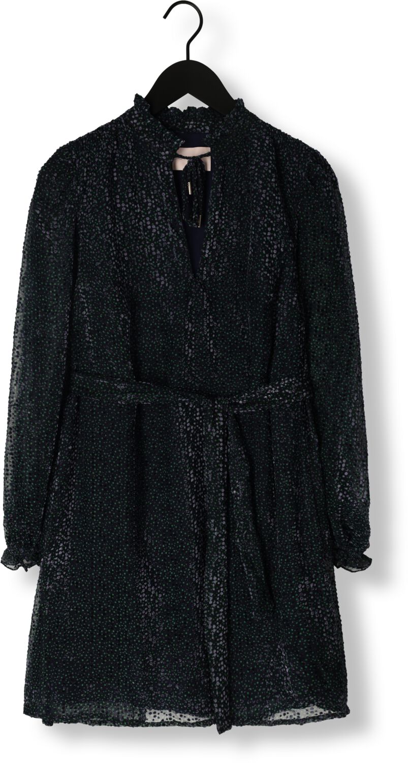 FREEBIRD Dames Jurken Adaline Blauw