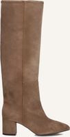 TORAL 12776 TORAL 12776 - medium