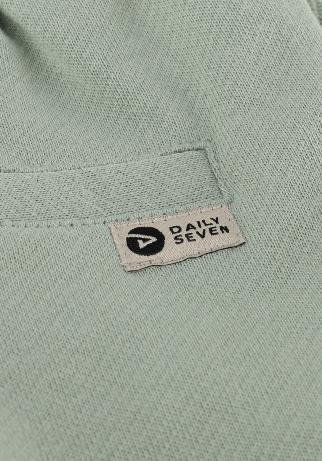 Groene DAILY7 Korte broek SHORTS STRUCTURE - large