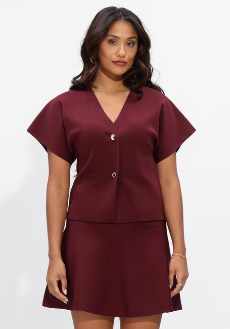 Bordeaux NOTRE-V Trui NV-FUMIE - large