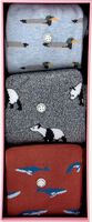 Multi ALFREDO GONZALES Sokken ANIMALS BOX - medium