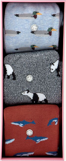 Multi ALFREDO GONZALES Sokken ANIMALS BOX Multi ALFREDO GONZALES Sokken ANIMALS BOX - large
