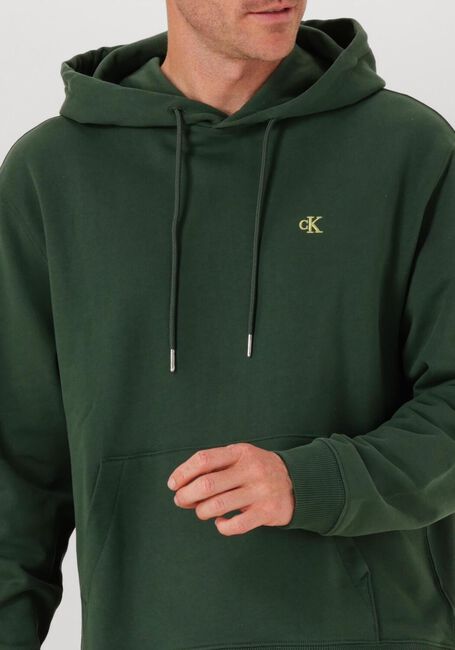 Donkergroene CALVIN KLEIN Sweater LS EU 350TERRY MONOGRAM HOODIE - large