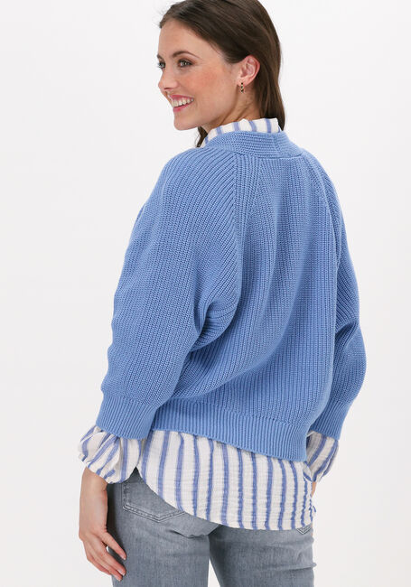 Lichtblauwe BELLAMY Vest TES - large
