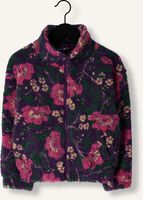 Paarse Z8 Jack TALULLAH Paarse Z8 Jack TALULLAH - medium