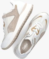 Witte GABOR Lage sneakers 595 - medium