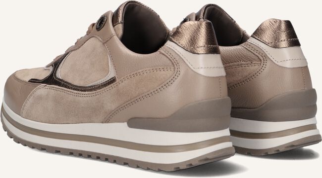 Taupe GABOR Lage sneakers 525 Taupe GABOR Lage sneakers 525 - large