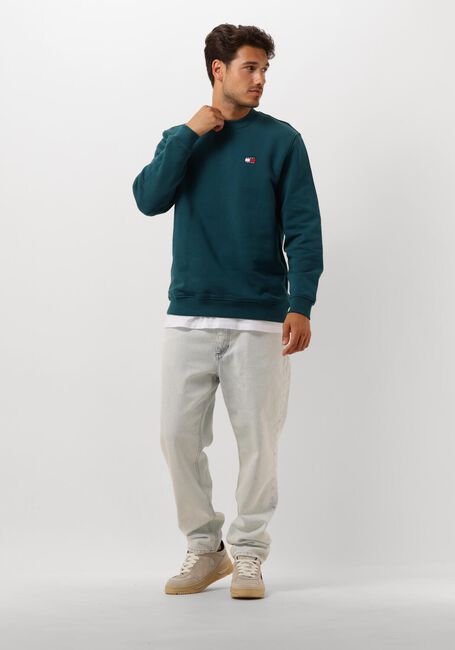 Blauwe TOMMY JEANS Trui TJM REG BADGE CREW EXT - large