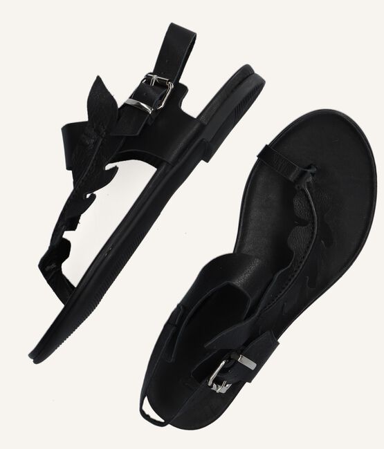 Zwarte NOTRE-V Platte sandalen 101325 Zwarte NOTRE-V Platte sandalen 101325 - large