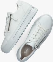 Witte GABOR Lage sneakers 498 - medium