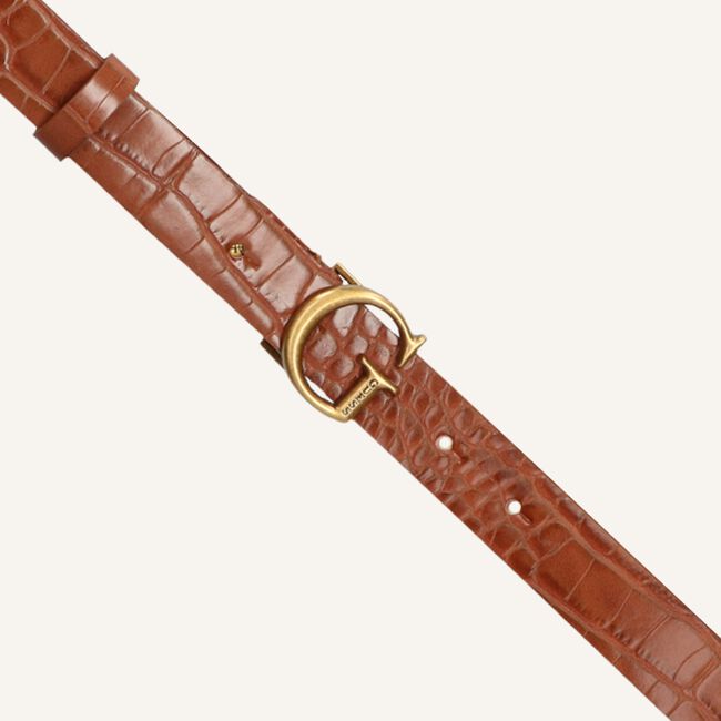 Cognac GUESS Riem CORILY ADJUSTABLE PANT BELT Cognac GUESS Riem CORILY ADJUSTABLE PANT BELT - large