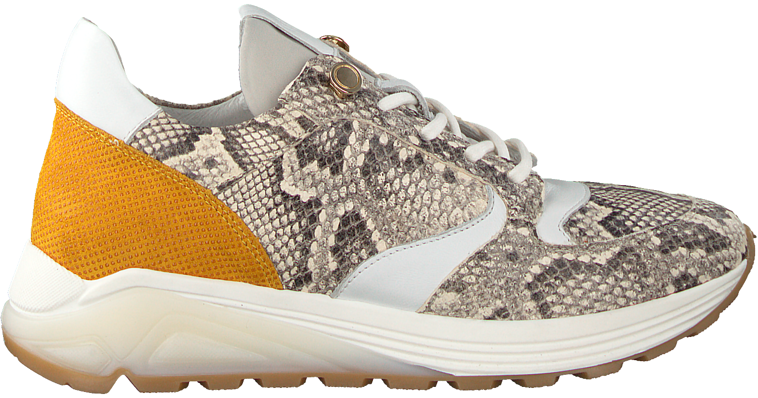 دراسة خياط درجة مئوية sale via vai sneakers - ashworkshop.org