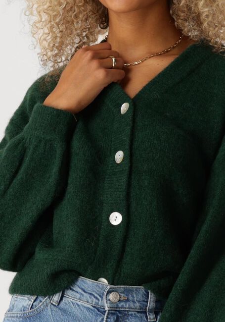 Groene MSCH COPENHAGEN Vest MSCHPETRINELLE HOPE CARDIGAN - large