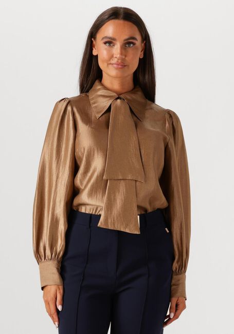Bruine AAIKO Blouses VERONNE TIE SHIMM RAY 517 2 - large