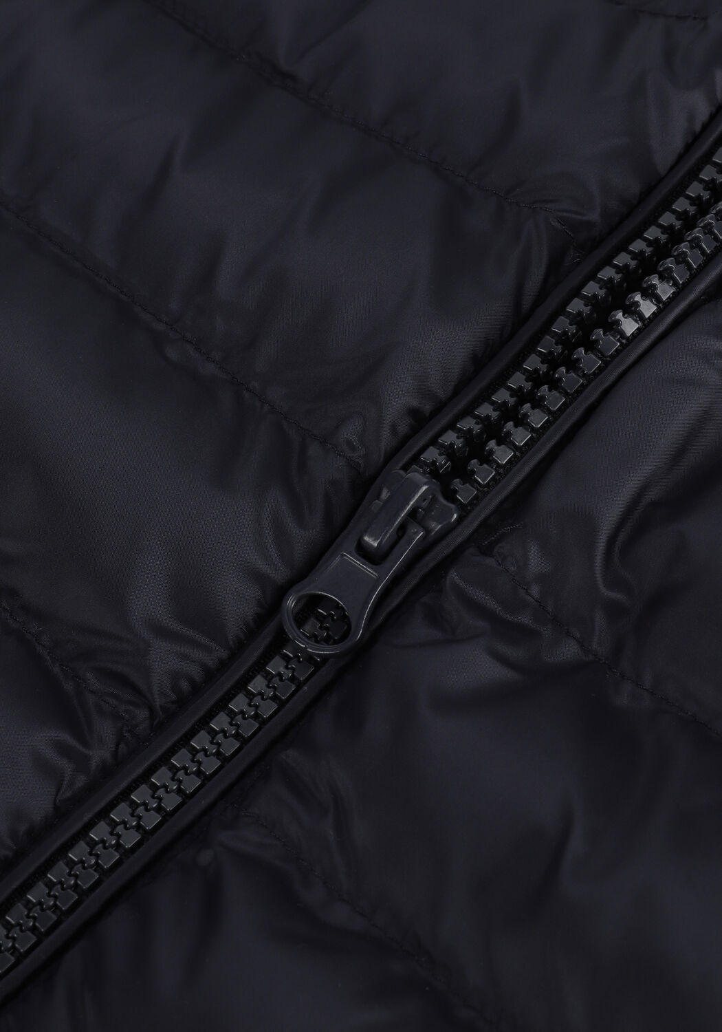 Donkerblauwe PROFUOMO Bodywarmer PPTU1-B - large