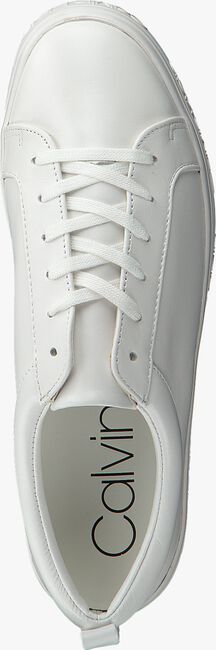 Witte CALVIN KLEIN Lage sneakers JAELEE - large