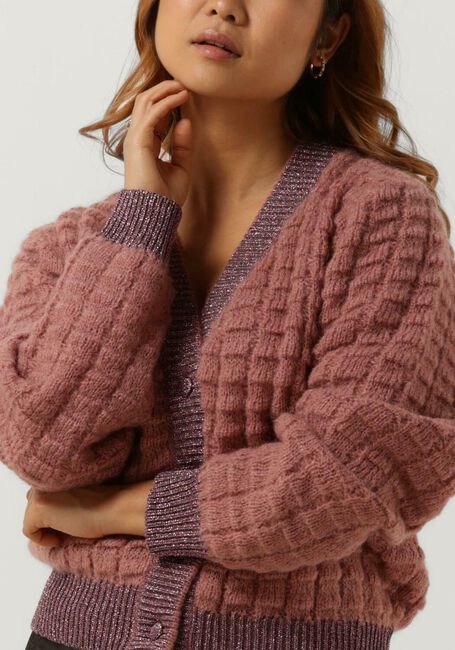 Beige AMAYA AMSTERDAM Vest NOE CARDIGAN/KNITWEAR - large