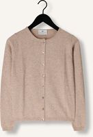 RESORT FINEST LUCCA RESORT FINEST LUCCA - medium