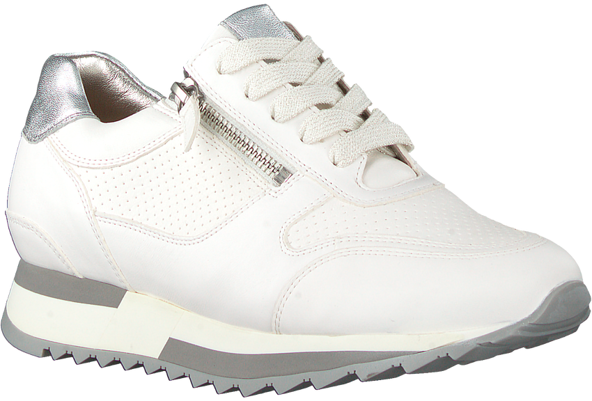 hassia sneakers sale