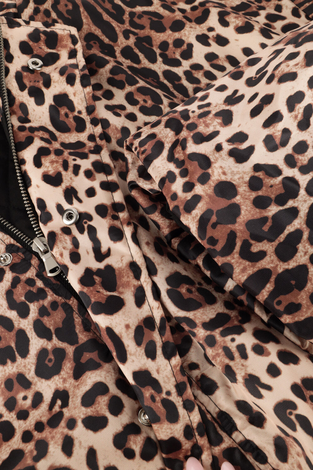 Bruine STUDIO AMAYA Jack FELINE - large