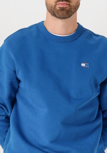 Blauwe TOMMY JEANS Trui TJM REG BADGE CREW EXT - large