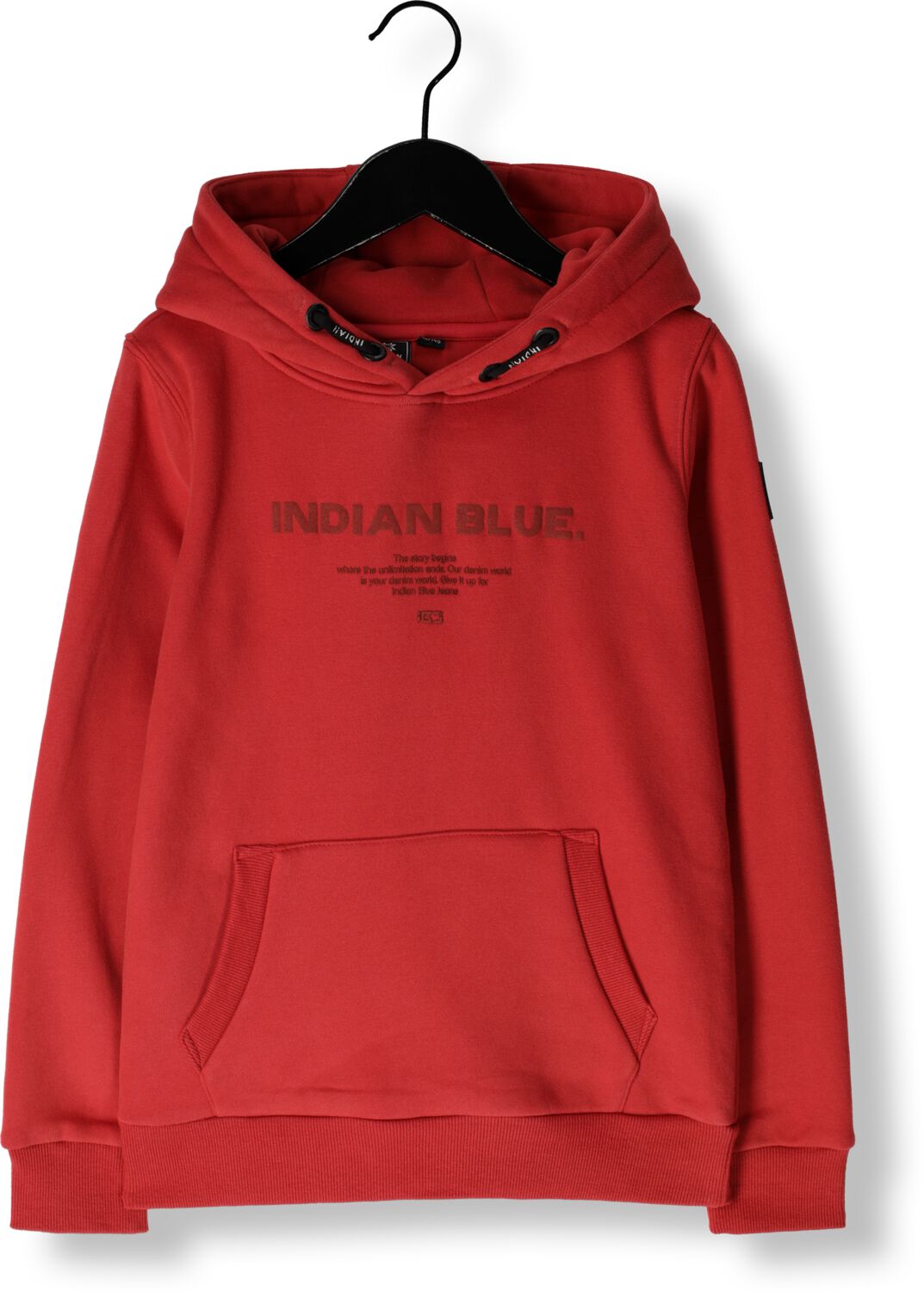 INDIAN BLUE JEANS Jongens Truien & Vesten Hoodie Ibjns Rood