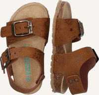 BUNNIESJR BONNY BEACH BUNNIESJR BONNY BEACH - medium