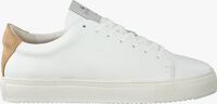 Witte GOOSECRAFT Lage sneakers JASON - medium