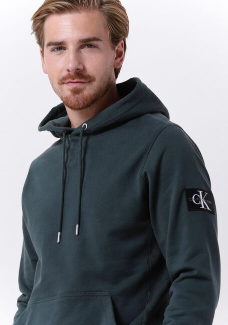 Donkergroene CALVIN KLEIN Sweater MONOLOGO SLEEVE BADGE HOODIE - large
