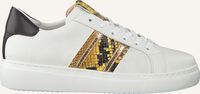 Witte MARIPE Lage sneakers 28544 - medium