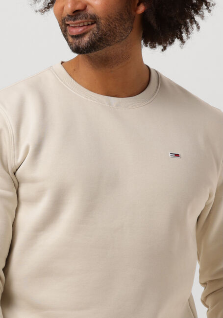 Beige TOMMY JEANS Sweater TJM REGULAR FLEECE C NECK - large