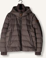 MOSCOW 12-08 BRANDY MOSCOW 12-08 BRANDY - medium