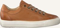 Camel PAUL GREEN Lage sneakers 4841 - medium
