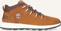 Camel TIMBERLAND Hoge sneakers SPRINT TREKKER MID LACE M - medium